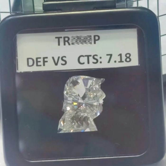Creative-Cut Loose Lab-Grown Diamonds (Shape: Portrait)